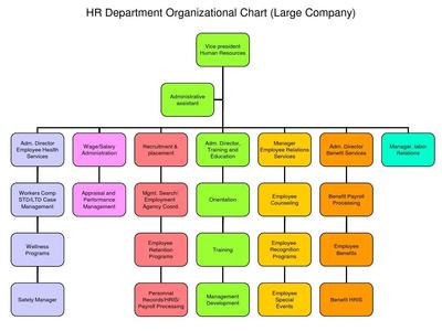 人力資源組織架構與服務體系解析